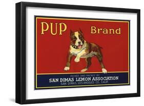 Pup Brand - San Dimas, California - Citrus Crate Label-Lantern Press-Framed Art Print