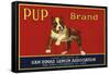 Pup Brand - San Dimas, California - Citrus Crate Label-Lantern Press-Framed Stretched Canvas