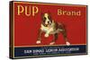 Pup Brand - San Dimas, California - Citrus Crate Label-Lantern Press-Stretched Canvas