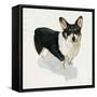 Pup for the Queen I-Grace Popp-Framed Stretched Canvas