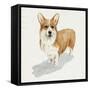 Pup for the Queen II-Grace Popp-Framed Stretched Canvas