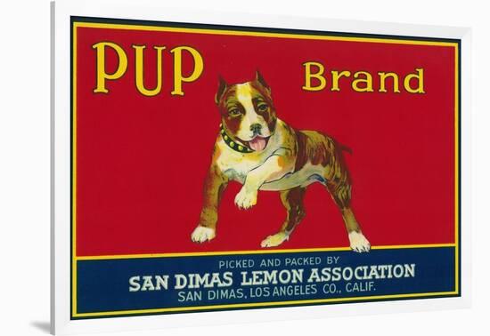 Pup Lemon Label - San Dimas, CA-Lantern Press-Framed Art Print