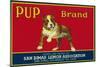 Pup Lemon Label - San Dimas, CA-Lantern Press-Mounted Art Print