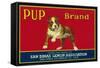 Pup Lemon Label - San Dimas, CA-Lantern Press-Framed Stretched Canvas