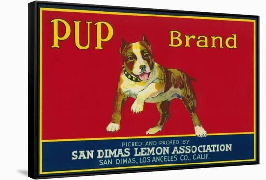 Pup Lemon Label - San Dimas, CA-Lantern Press-Framed Stretched Canvas