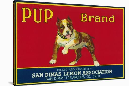 Pup Lemon Label - San Dimas, CA-Lantern Press-Stretched Canvas