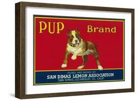 Pup Lemon Label - San Dimas, CA-Lantern Press-Framed Art Print