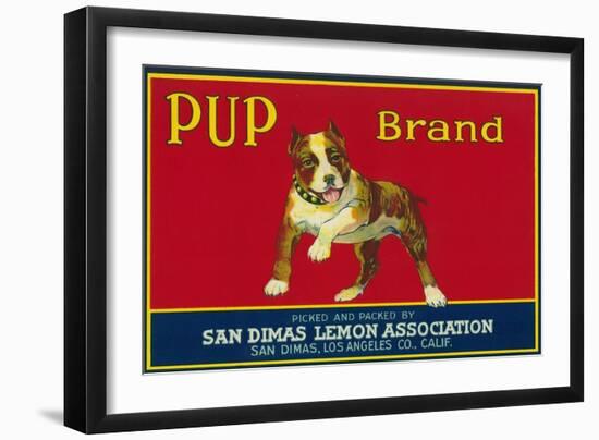 Pup Lemon Label - San Dimas, CA-Lantern Press-Framed Art Print