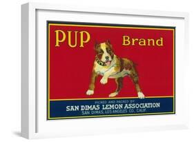 Pup Lemon Label - San Dimas, CA-Lantern Press-Framed Art Print