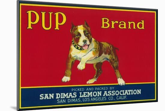 Pup Lemon Label - San Dimas, CA-Lantern Press-Mounted Art Print