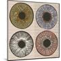 Pupil Variations. Macro Human Eye.-RYGER-Mounted Art Print