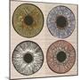 Pupil Variations. Macro Human Eye.-RYGER-Mounted Art Print