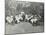 Pupils in the Garden Doing Needlework, Birley House Open Air School, Forest Hill, London, 1908-null-Mounted Premium Photographic Print