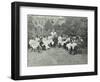 Pupils in the Garden Doing Needlework, Birley House Open Air School, Forest Hill, London, 1908-null-Framed Photographic Print