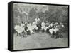 Pupils in the Garden Doing Needlework, Birley House Open Air School, Forest Hill, London, 1908-null-Framed Stretched Canvas