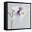 Puple Aquilegia-Tom Quartermaine-Framed Stretched Canvas