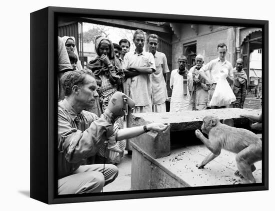 Puppeteer Bil Baird playing with a monkey, March 1962.-James Burke-Framed Stretched Canvas