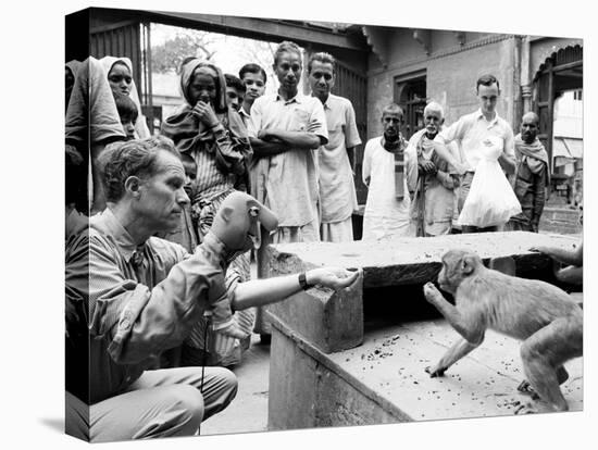 Puppeteer Bil Baird playing with a monkey, March 1962.-James Burke-Stretched Canvas