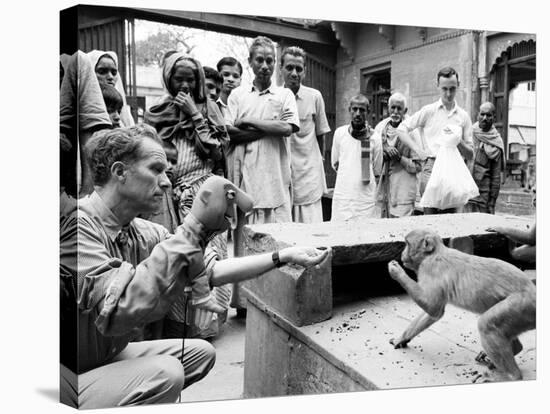 Puppeteer Bil Baird playing with a monkey, March 1962.-James Burke-Stretched Canvas
