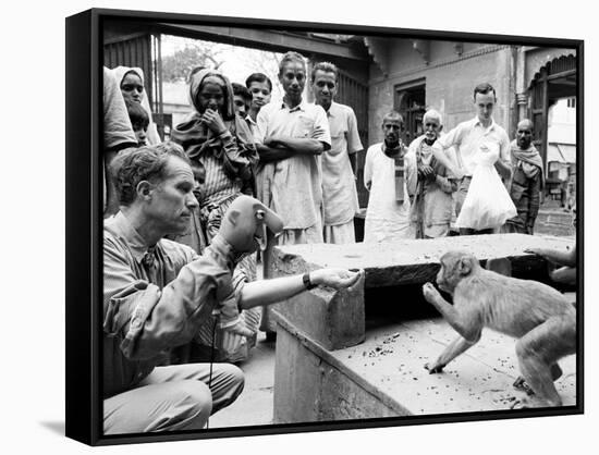 Puppeteer Bil Baird playing with a monkey, March 1962.-James Burke-Framed Stretched Canvas