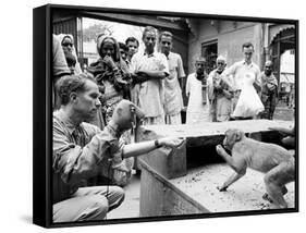 Puppeteer Bil Baird playing with a monkey, March 1962.-James Burke-Framed Stretched Canvas