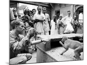 Puppeteer Bil Baird playing with a monkey, March 1962.-James Burke-Mounted Premium Photographic Print