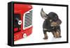 Puppies 004-Andrea Mascitti-Framed Stretched Canvas