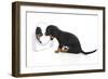 Puppies 006-Andrea Mascitti-Framed Photographic Print