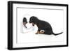 Puppies 006-Andrea Mascitti-Framed Photographic Print
