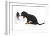 Puppies 006-Andrea Mascitti-Framed Photographic Print