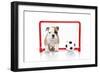 Puppies 007-Andrea Mascitti-Framed Photographic Print