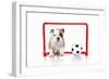 Puppies 007-Andrea Mascitti-Framed Photographic Print