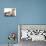 Puppies 011-Andrea Mascitti-Photographic Print displayed on a wall