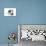 Puppies 025-Andrea Mascitti-Photographic Print displayed on a wall