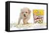 Puppies 028-Andrea Mascitti-Framed Stretched Canvas