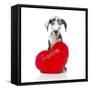 Puppies 029-Andrea Mascitti-Framed Stretched Canvas