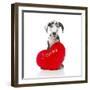Puppies 029-Andrea Mascitti-Framed Photographic Print