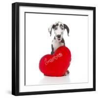 Puppies 029-Andrea Mascitti-Framed Photographic Print