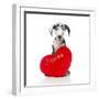 Puppies 029-Andrea Mascitti-Framed Photographic Print