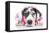 Puppies 030-Andrea Mascitti-Framed Stretched Canvas