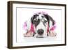 Puppies 030-Andrea Mascitti-Framed Photographic Print