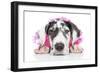Puppies 030-Andrea Mascitti-Framed Photographic Print