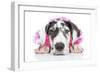 Puppies 030-Andrea Mascitti-Framed Photographic Print