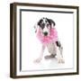 Puppies 031-Andrea Mascitti-Framed Photographic Print