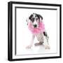 Puppies 031-Andrea Mascitti-Framed Photographic Print