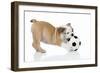 Puppies 033-Andrea Mascitti-Framed Photographic Print