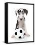 Puppies 036-Andrea Mascitti-Framed Stretched Canvas