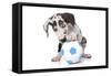 Puppies 037-Andrea Mascitti-Framed Stretched Canvas