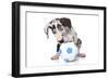 Puppies 037-Andrea Mascitti-Framed Photographic Print