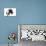 Puppies 042-Andrea Mascitti-Photographic Print displayed on a wall